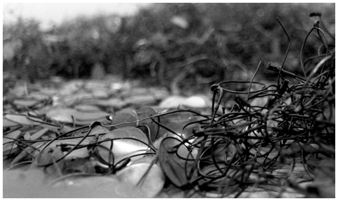 Photographie 04